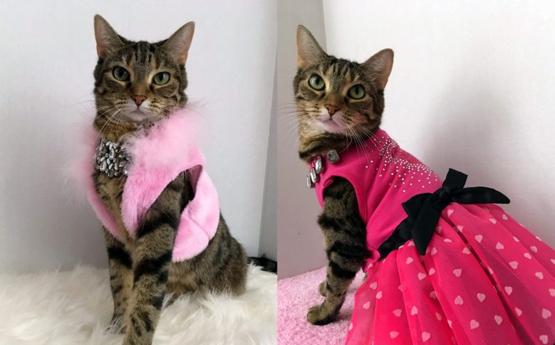 couture
